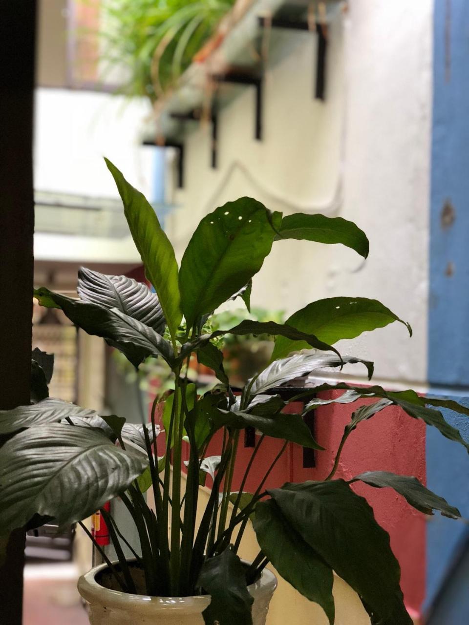 Appartement La ventana modern house à Hải Phòng Extérieur photo